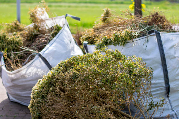 Best Construction Debris Removal  in Biloxi, MS